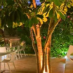 Areca 4* Torrellano