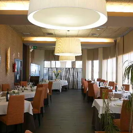 Areca 4*