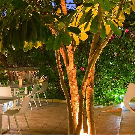 Areca 4* Torrellano