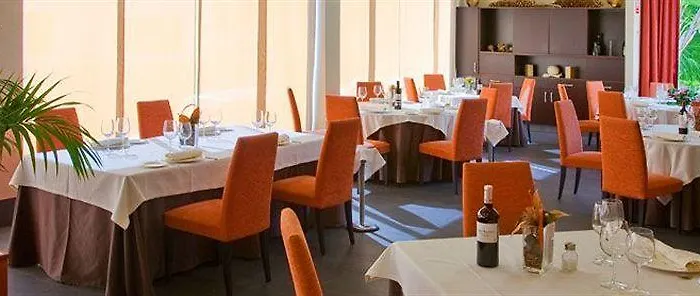 Hotell Areca Torrellano