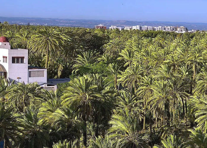 Areca מלון