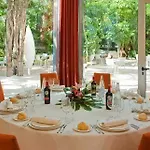 Areca 4*