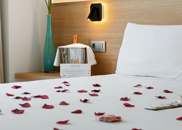 Hotel Areca Torrellano